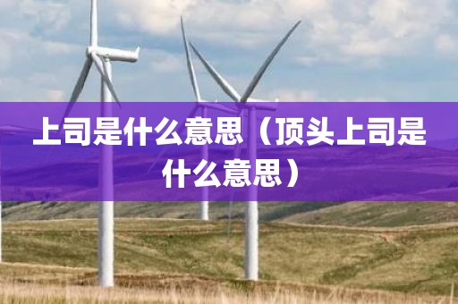 上司是什么意思（顶头上司是什么意思）