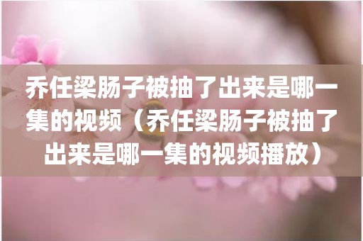 乔任梁肠子被抽了出来是哪一集的视频（乔任梁肠子被抽了出来是哪一集的视频播放）