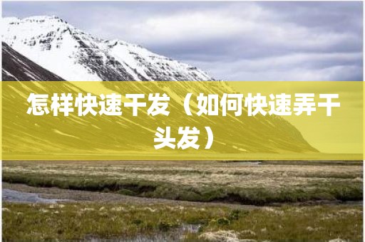 怎样快速干发（如何快速弄干头发）