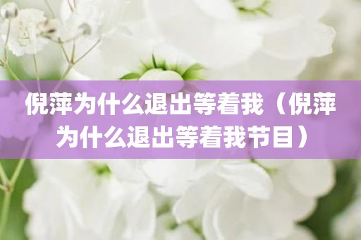 倪萍为什么退出等着我（倪萍为什么退出等着我节目）