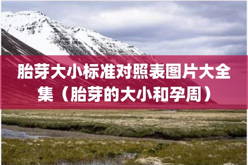 胎芽大小标准对照表图片大全集（胎芽的大小和孕周）