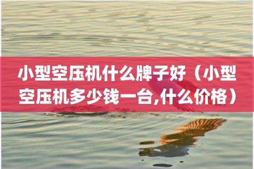 小型空压机什么牌子好（小型空压机多少钱一台,什么价格）