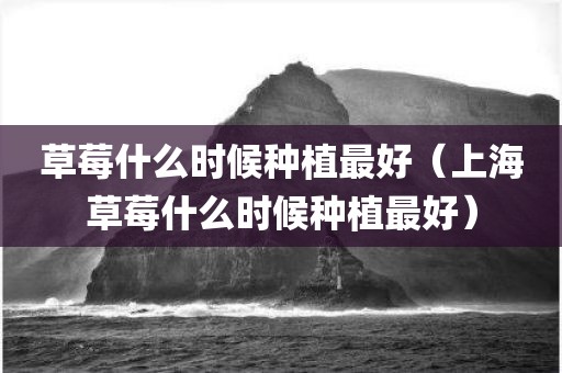 草莓什么时候种植最好（上海草莓什么时候种植最好）