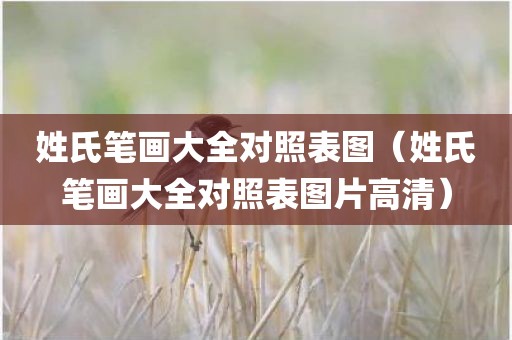 姓氏笔画大全对照表图（姓氏笔画大全对照表图片高清）