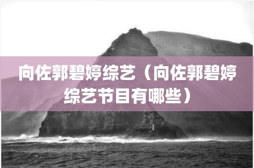 向佐郭碧婷综艺（向佐郭碧婷综艺节目有哪些）