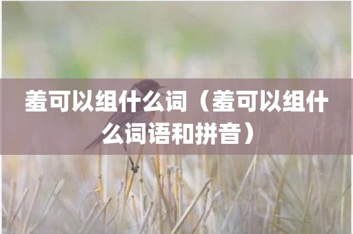 羞可以组什么词（羞可以组什么词语和拼音）