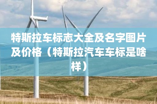 特斯拉车标志大全及名字图片及价格（特斯拉汽车车标是啥样）