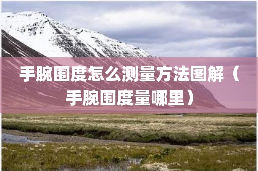 手腕围度怎么测量方法图解（手腕围度量哪里）