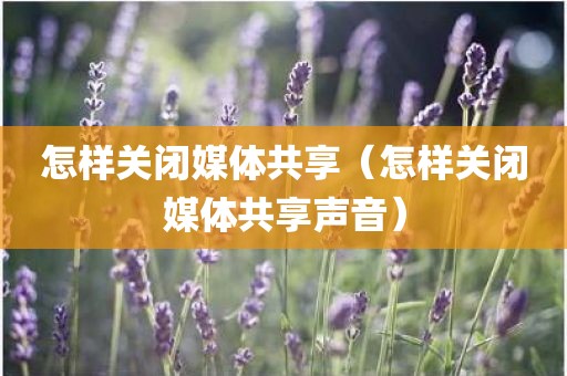 怎样关闭媒体共享（怎样关闭媒体共享声音）