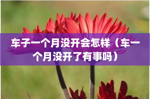 车子一个月没开会怎样（车一个月没开了有事吗）