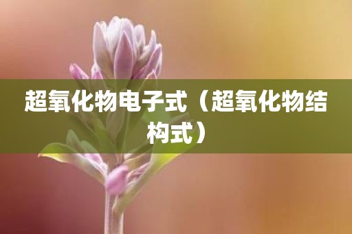 超氧化物电子式（超氧化物结构式）