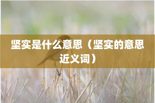 坚实是什么意思（坚实的意思近义词）