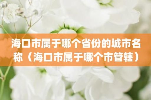 海口市属于哪个省份的城市名称（海口市属于哪个市管辖）