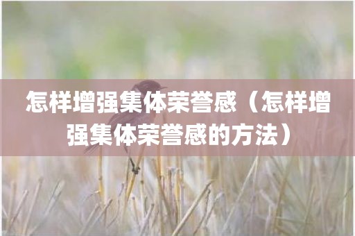怎样增强集体荣誉感（怎样增强集体荣誉感的方法）