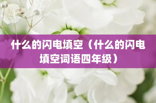 什么的闪电填空（什么的闪电填空词语四年级）