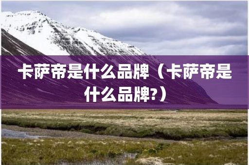 卡萨帝是什么品牌（卡萨帝是什么品牌?）