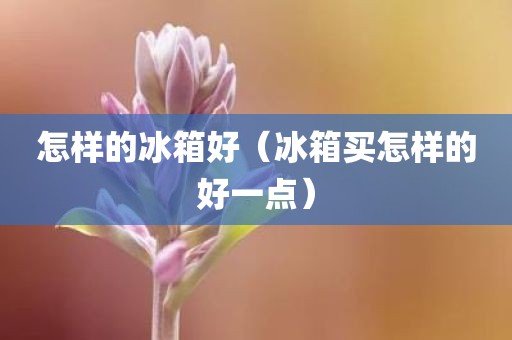 怎样的冰箱好（冰箱买怎样的好一点）