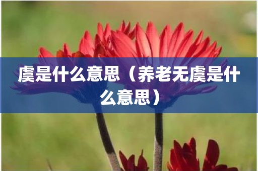 虞是什么意思（养老无虞是什么意思）