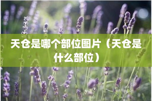 天仓是哪个部位图片（天仓是什么部位）