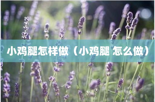 小鸡腿怎样做（小鸡腿 怎么做）
