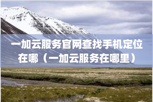 一加云服务官网查找手机定位在哪(一加云服务在哪里)
