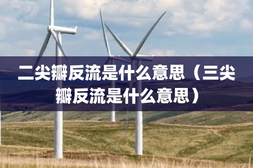 二尖瓣反流是什么意思（三尖瓣反流是什么意思）
