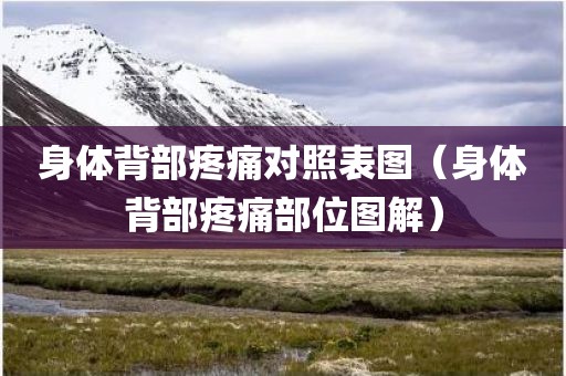 身体背部疼痛对照表图（身体背部疼痛部位图解）