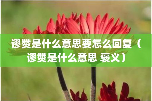 谬赞是什么意思要怎么回复（谬赞是什么意思 褒义）
