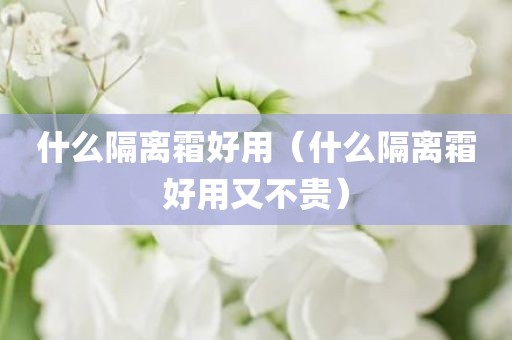 什么隔离霜好用（什么隔离霜好用又不贵）