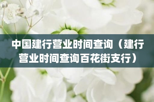 中国建行营业时间查询（建行营业时间查询百花街支行）