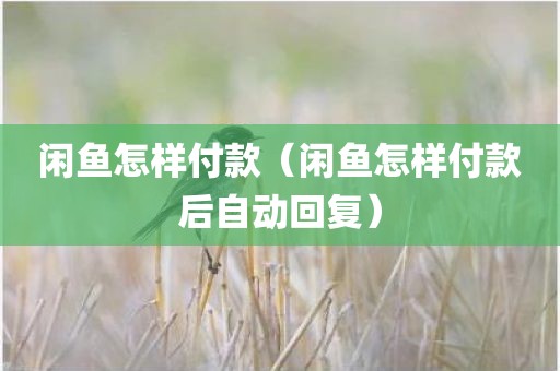 闲鱼怎样付款（闲鱼怎样付款后自动回复）