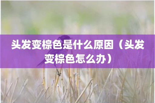 头发变棕色是什么原因（头发变棕色怎么办）