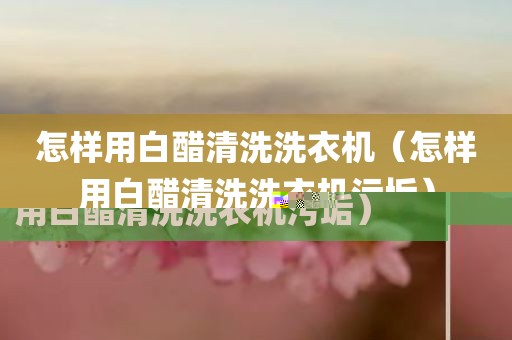 怎样用白醋清洗洗衣机（怎样用白醋清洗洗衣机污垢）
