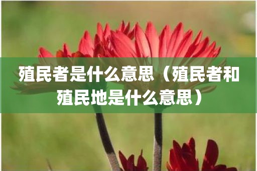 殖民者是什么意思（殖民者和殖民地是什么意思）