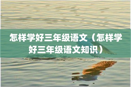 怎样学好三年级语文（怎样学好三年级语文知识）