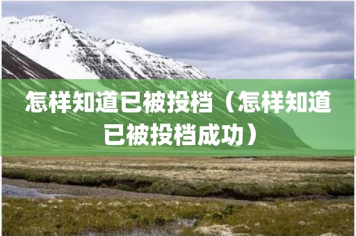 怎样知道已被投档（怎样知道已被投档成功）