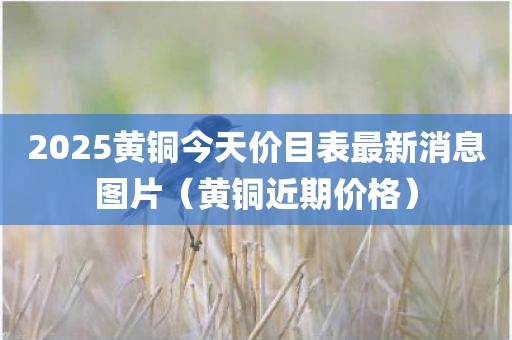 2025黄铜今天价目表最新消息图片（黄铜近期价格）