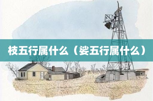 枝五行属什么（娑五行属什么）
