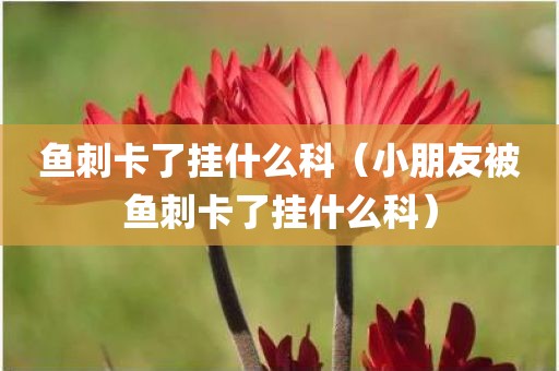 鱼刺卡了挂什么科（小朋友被鱼刺卡了挂什么科）