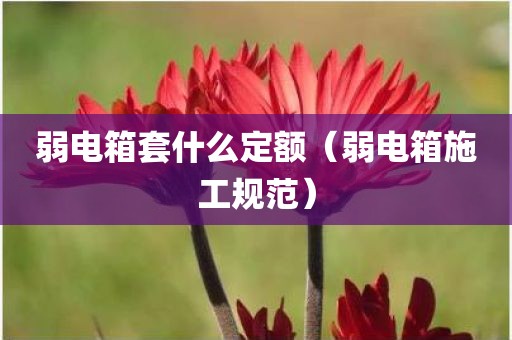 弱电箱套什么定额（弱电箱施工规范）