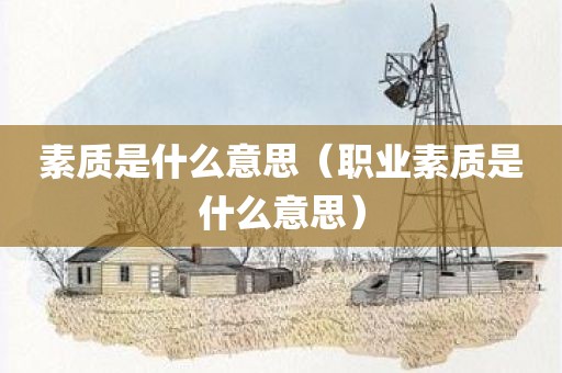 素质是什么意思（职业素质是什么意思）