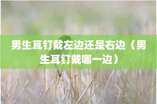 男生耳钉戴左边还是右边（男生耳钉戴哪一边）