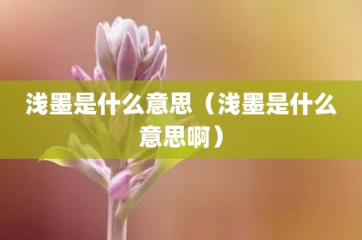 浅墨是什么意思（浅墨是什么意思啊）