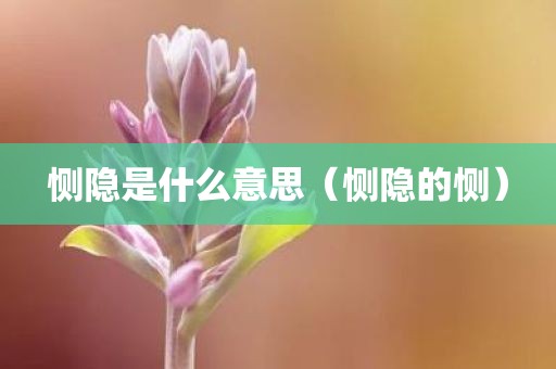 详细阅读:恻隐是什么意思(恻隐的恻) 恻隐是什么意思(恻隐的恻)