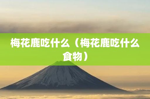 梅花鹿吃什么（梅花鹿吃什么食物）