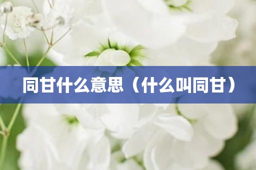 同甘什么意思（什么叫同甘）