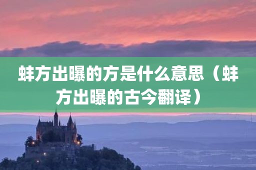 蚌方出曝的方是什么意思（蚌方出曝的古今翻译）