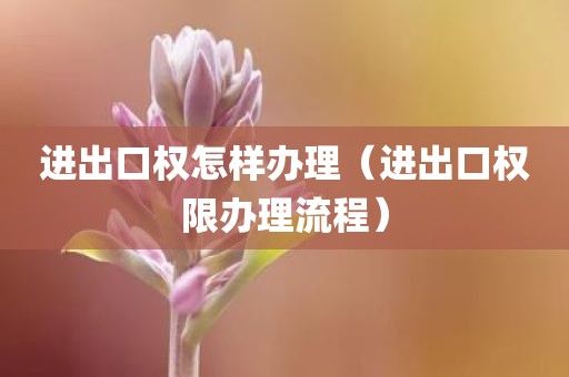 进出口权怎样办理（进出口权限办理流程）