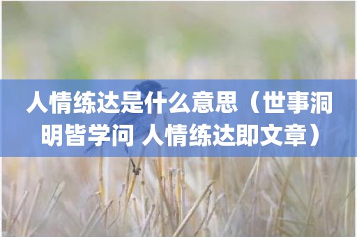 人情练达是什么意思（世事洞明皆学问 人情练达即文章）