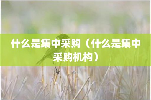什么是集中采购（什么是集中采购机构）
